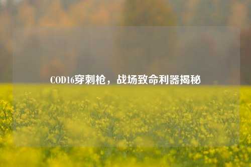 COD16穿刺枪，战场致命利器揭秘