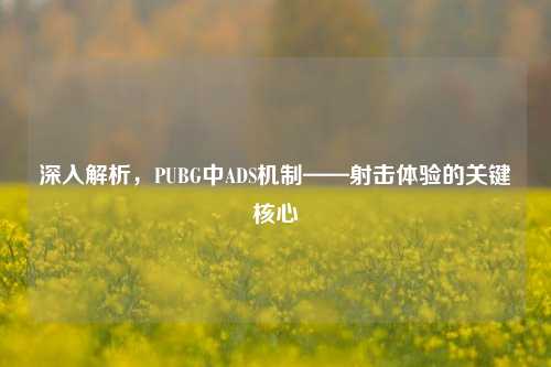 深入解析，PUBG中ADS机制——射击体验的关键核心