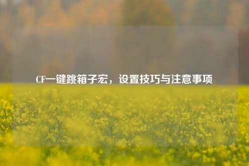 CF一键跳箱子宏，设置技巧与注意事项