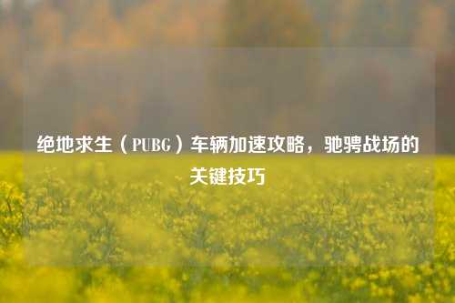 绝地求生（PUBG）车辆加速攻略，驰骋战场的关键技巧
