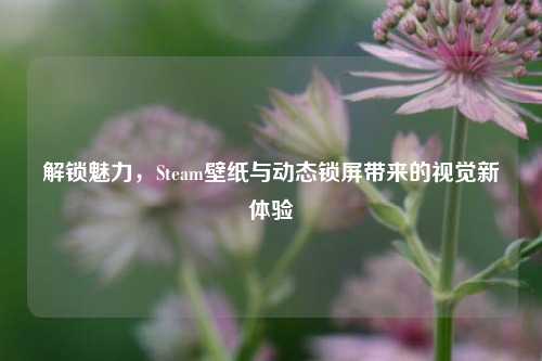解锁魅力，Steam壁纸与动态锁屏带来的视觉新体验