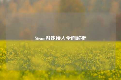 Steam游戏接入全面解析