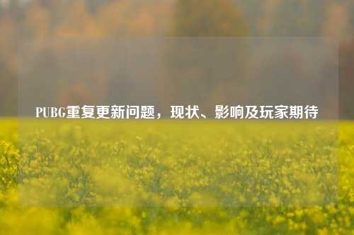 PUBG重复更新问题，现状、影响及玩家期待