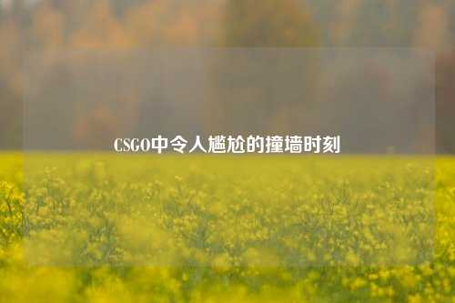 CSGO中令人尴尬的撞墙时刻