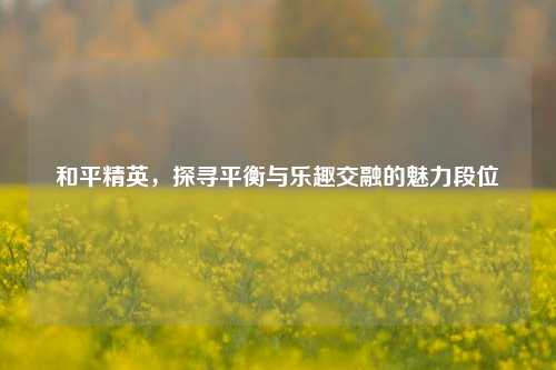 和平精英,探寻平衡与乐趣交融的魅力段位