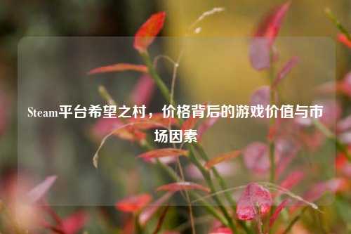 Steam平台希望之村,价格背后的游戏价值与市场因素