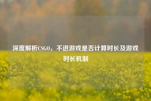 深度解析CSGO,不进游戏是否计算时长及游戏时长机制