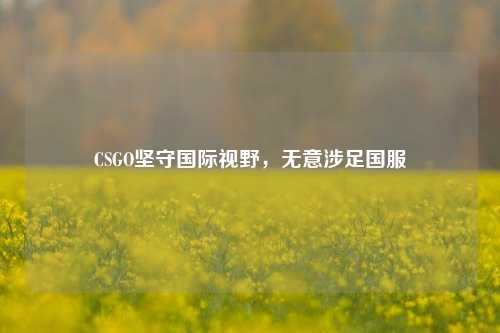 CSGO坚守国际视野,无意涉足国服
