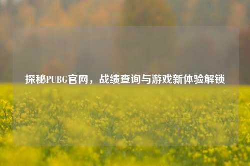 探秘PUBG官网，战绩查询与游戏新体验解锁