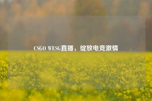 CSGO WESG直播，绽放电竞***