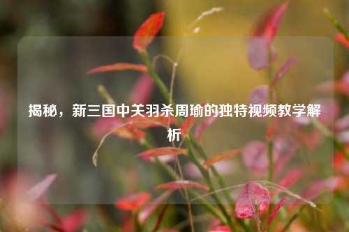 揭秘,新三国中关羽杀周瑜的独特视频教学解析