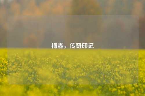 梅森，传奇印记