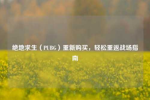 绝地求生(PUBG)重新购买,轻松重返战场指南