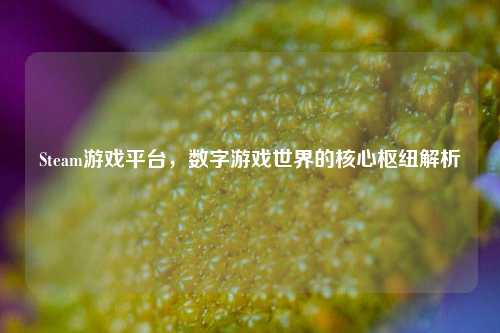 Steam游戏平台，数字游戏世界的核心枢纽解析