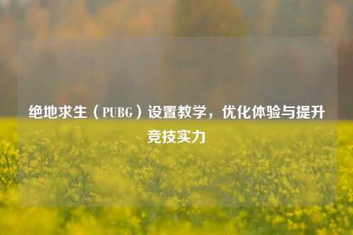 绝地求生（PUBG）设置教学，优化体验与提升竞技实力
