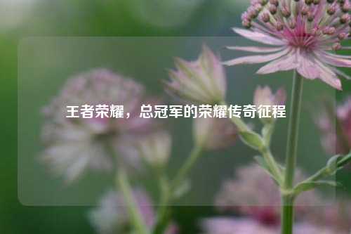 王者荣耀,总冠军的荣耀传奇征程