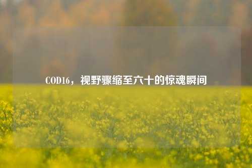 COD16，视野骤缩至六十的惊魂瞬间