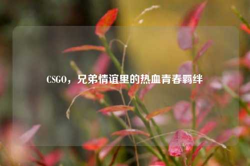 CSGO，兄弟情谊里的热血青春羁绊