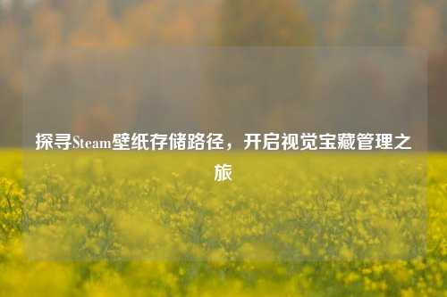 探寻Steam壁纸存储路径,开启视觉宝藏管理之旅