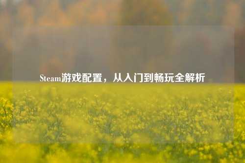 Steam游戏配置,从入门到畅玩全解析