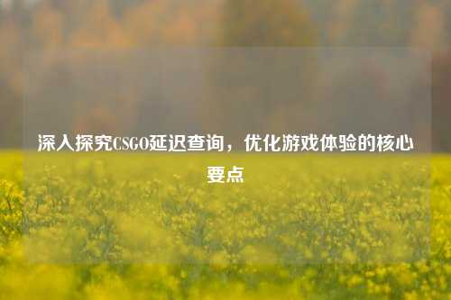深入探究CSGO延迟查询，优化游戏体验的核心要点