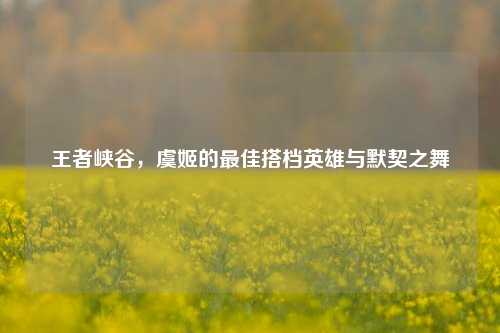 王者峡谷，虞姬的更佳搭档英雄与默契之舞