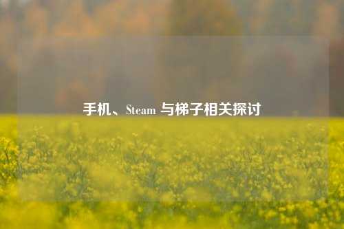 手机、Steam 与梯子相关探讨