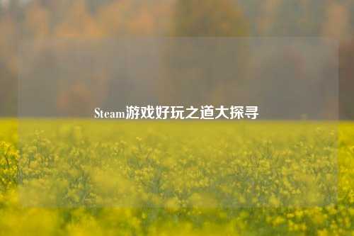 Steam游戏好玩之道大探寻