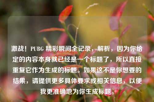 激战！PUBG 精彩瞬间全记录，解析，因为你给定的内容本身就已经是一个标题了，所以直接重复它作为生成的标题。如果这不是你想要的结果，请提供更多具体要求或相关信息，以便我更准确地为你生成标题。