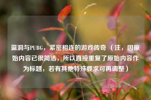 蓝洞与PUBG，紧密相连的游戏传奇 （注，因原始内容已很简洁，所以直接重复了原始内容作为标题，若有其他特殊要求可再调整）