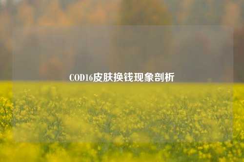 COD16皮肤换钱现象剖析