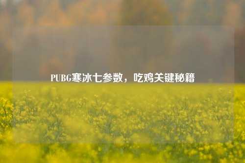 PUBG寒冰七参数,吃鸡关键秘籍
