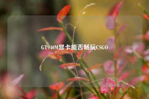 GT940M显卡能否畅玩CSGO