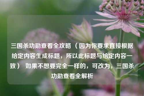 三国杀功勋查看全攻略 （因为你要求直接根据给定内容生成标题，所以此标题与给定内容一致）  如果不想要完全一样的，可改为，三国杀功勋查看全解析