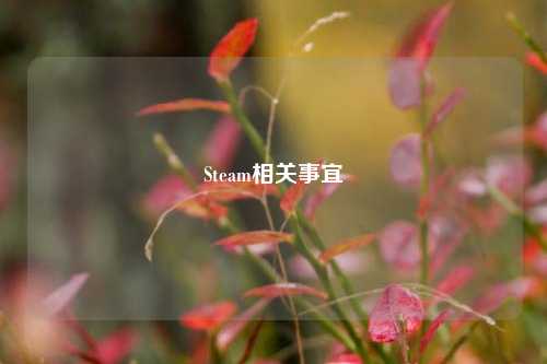 Steam相关事宜