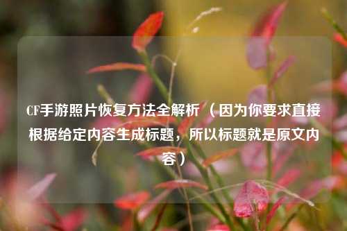 CF手游照片恢复 *** 全解析 （因为你要求直接根据给定内容生成标题，所以标题就是原文内容）