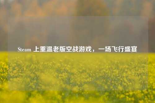 Steam 上重温老版空战游戏,一场飞行盛宴