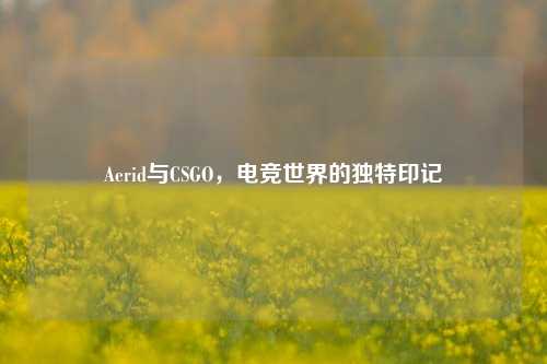 Aerid与CSGO，电竞世界的独特印记
