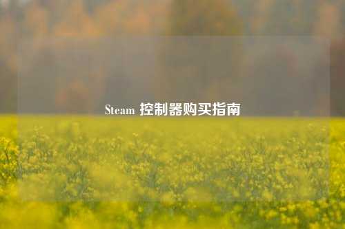Steam 控制器购买指南