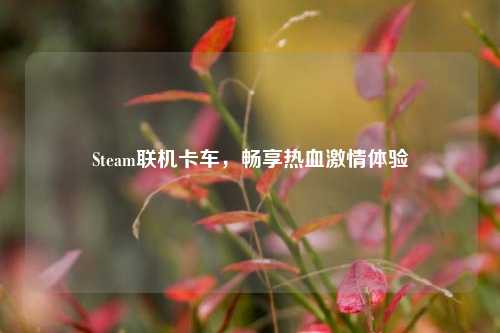 Steam联机卡车，畅享热血***体验