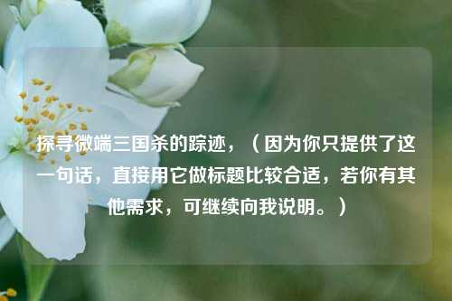 探寻微端三国杀的踪迹，（因为你只提供了这一句话，直接用它做标题比较合适，若你有其他需求，可继续向我说明。）