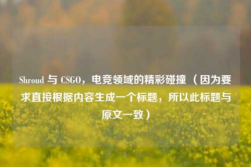 Shroud 与 CSGO，电竞领域的精彩碰撞 （因为要求直接根据内容生成一个标题，所以此标题与原文一致）