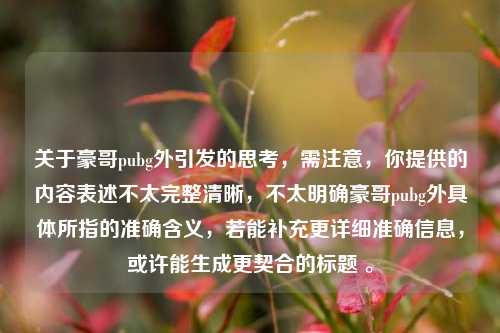 关于豪哥pubg外引发的思考，需注意，你提供的内容表述不太完整清晰，不太明确豪哥pubg外具体所指的准确含义，若能补充更详细准确信息，或许能生成更契合的标题 。