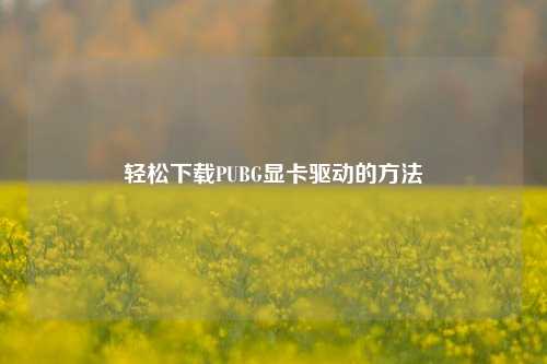 轻松下载PUBG显卡驱动的 *** 