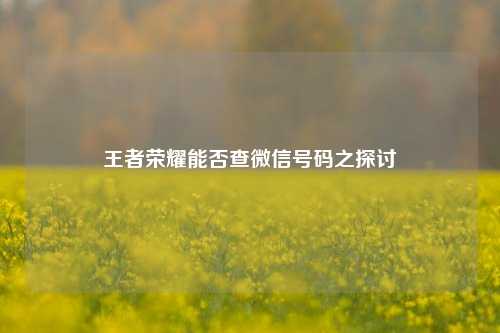 王者荣耀能否查微信号码之探讨