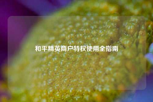和平精英商户特权使用全指南