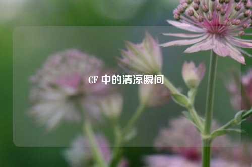 CF 中的清凉瞬间