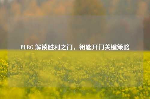 PUBG 解锁胜利之门，钥匙开门关键策略