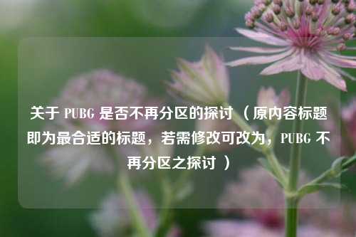 关于 PUBG 是否不再分区的探讨 （原内容标题即为最合适的标题，若需修改可改为，PUBG 不再分区之探讨 ）