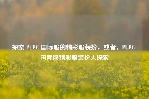 探索 PUBG 国际服的精彩服装扮，或者，PUBG 国际服精彩服装扮大探索